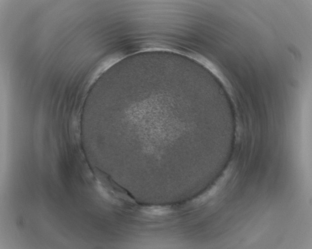 X0000113881145200910081741