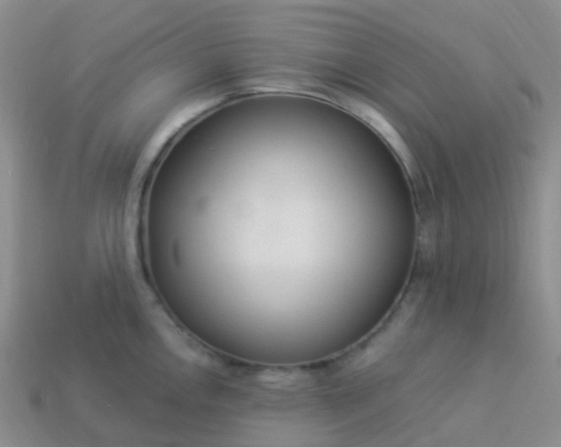 X0000113881146200910081741