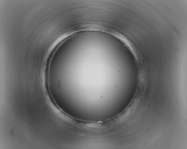 X0000113881147200910081741