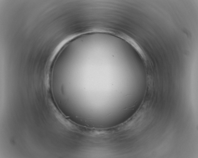 X0000113881148200910081741