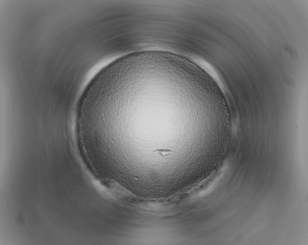 X0000113881149200910081741