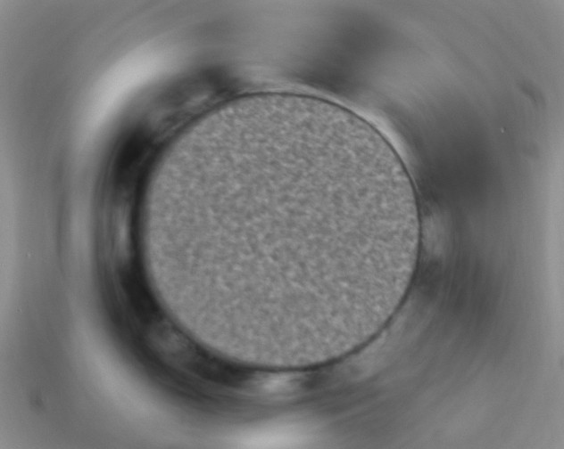 X0000113881150200910081741