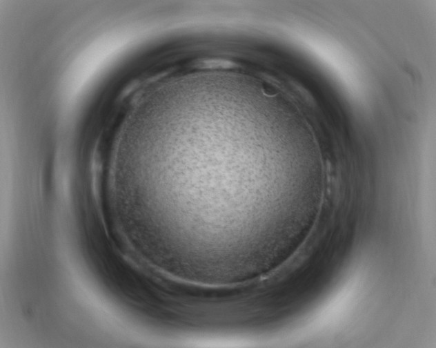 X0000113881151200910081741