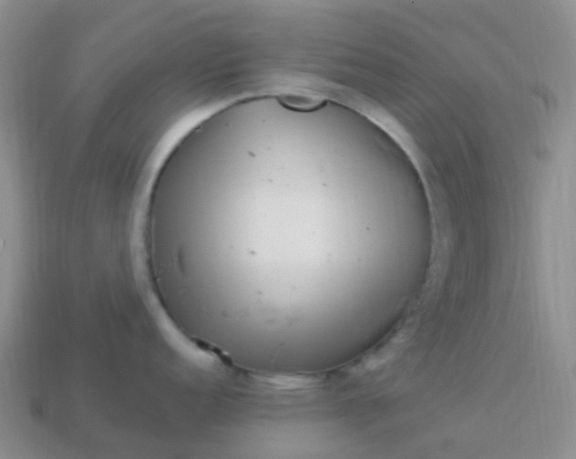 X0000113881152200910081741