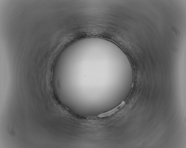 X0000113881153200910081741