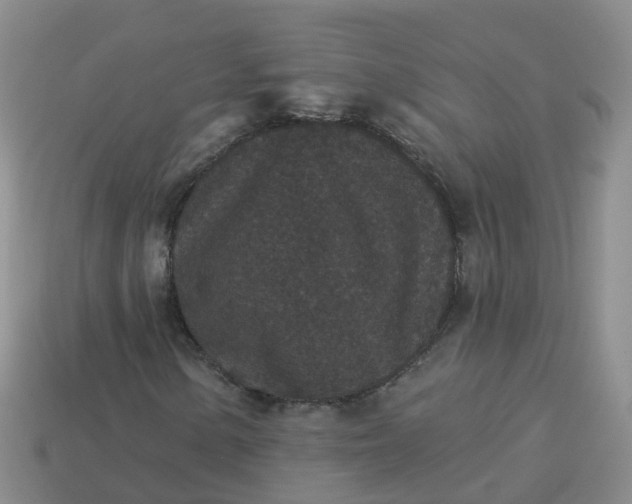 X0000113881154200910081741