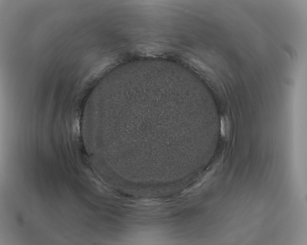 X0000113881155200910081741