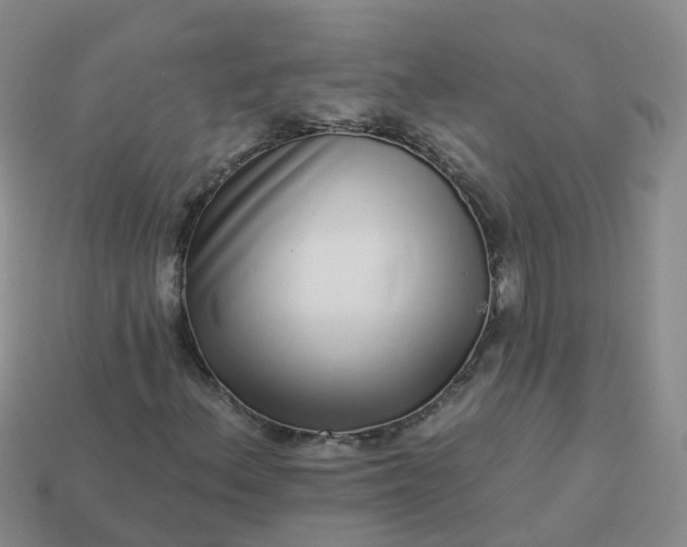 X0000113881156200910081741