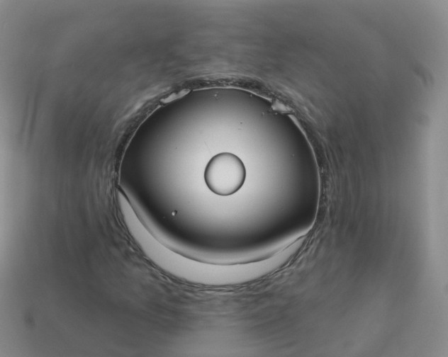 X0000113881157200910081741