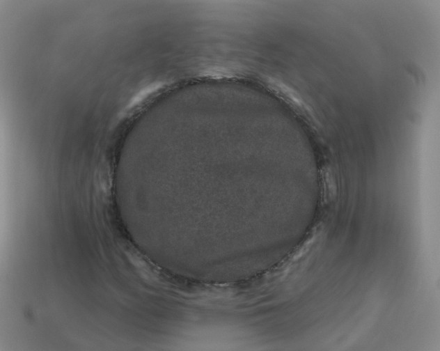 X0000113881158200910081741