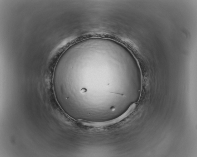 X0000113881159200910081741