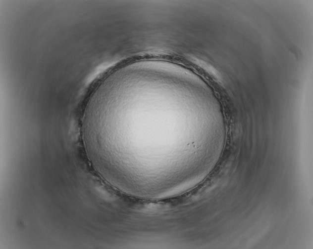 X0000113881160200910081741