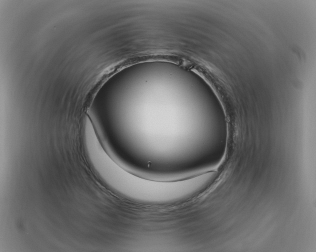 X0000113881161200910081741