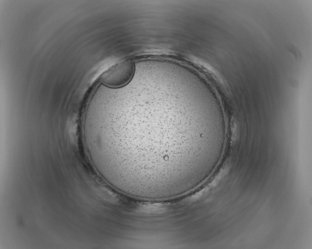 X0000113881162200910081741