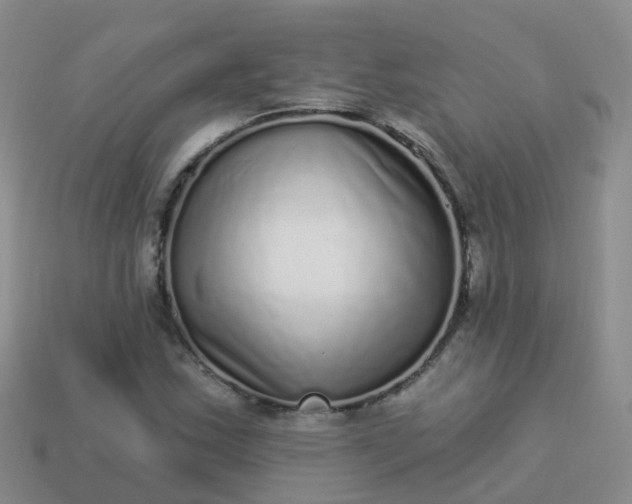 X0000113881163200910081741