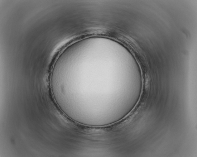 X0000113881164200910081741