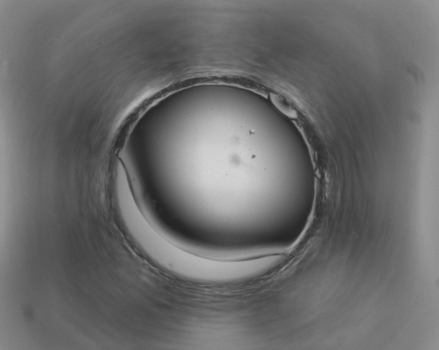 X0000113881165200910081741