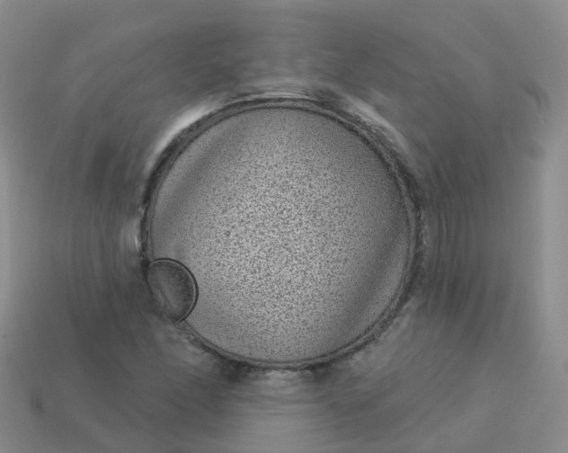 X0000113881166200910081741