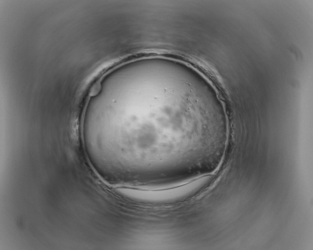 X0000113881167200910081741