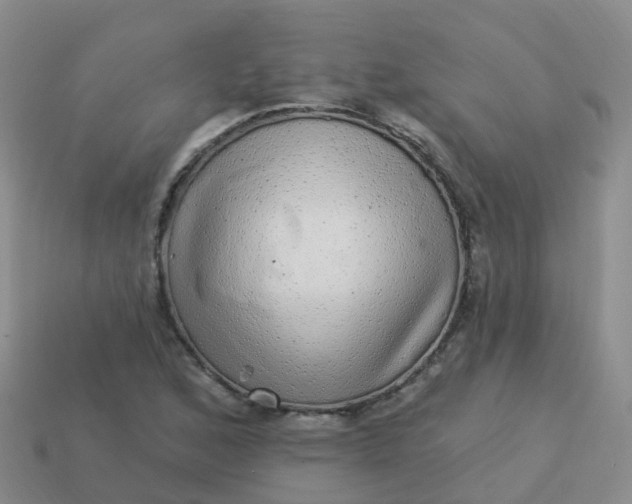 X0000113881168200910081741