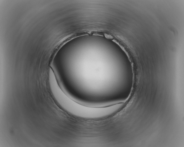 X0000113881169200910081741