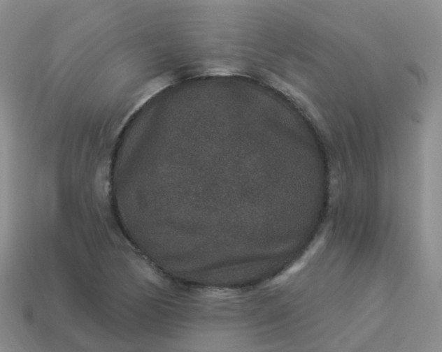 X0000113881170200910081741