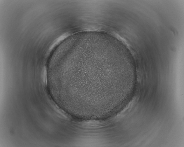 X0000113881171200910081741