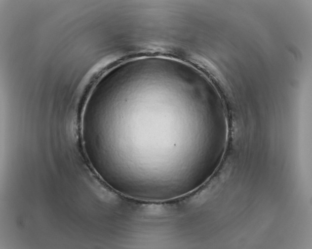 X0000113881172200910081741