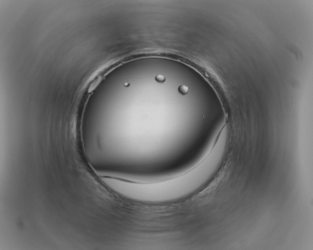 X0000113881173200910081741