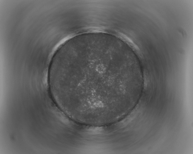 X0000113881174200910081741