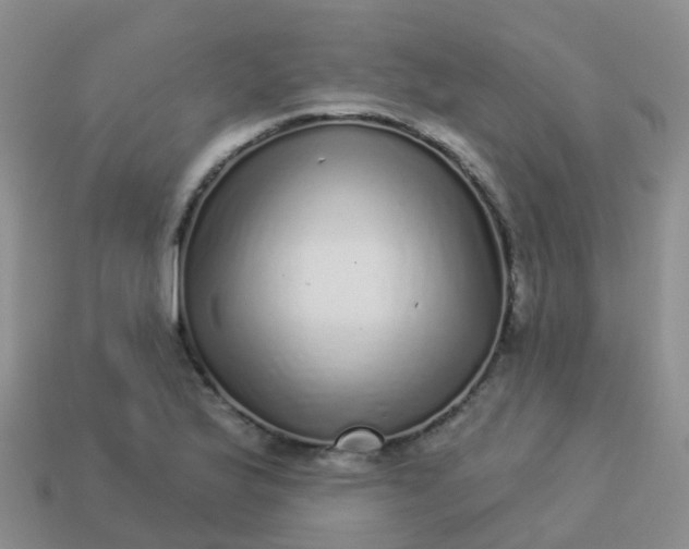 X0000113881175200910081741