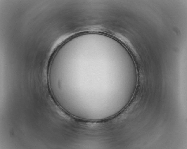 X0000113881176200910081740