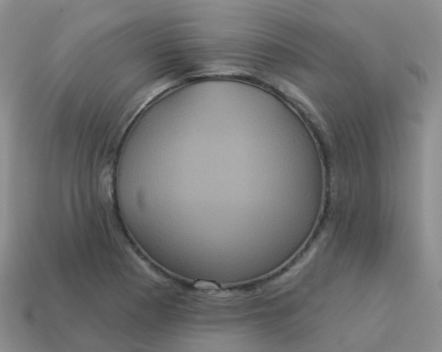 X0000113881177200910081740