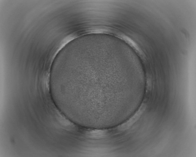 X0000113881178200910081740