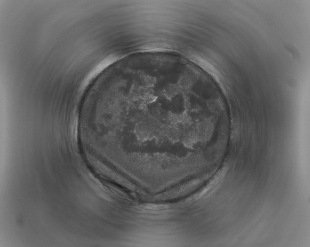 X0000113881179200910081740