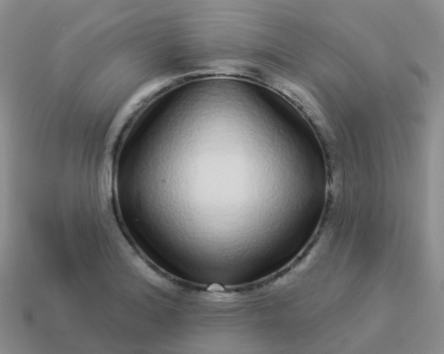 X0000113881180200910081740