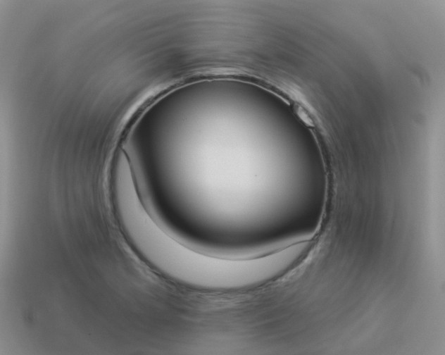 X0000113881181200910081740