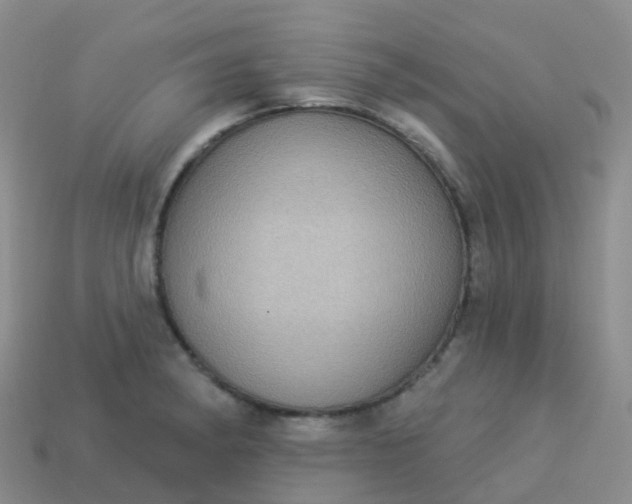 X0000113881182200910081740