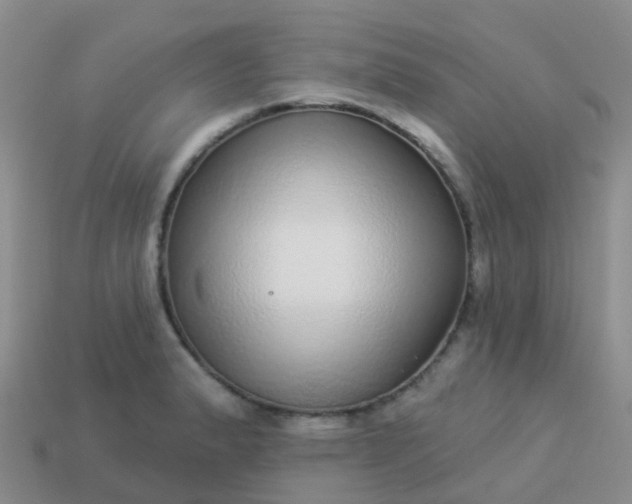 X0000113881183200910081740