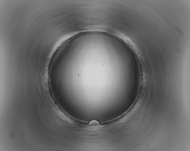 X0000113881184200910081740