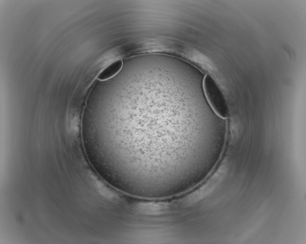 X0000113881185200910081740