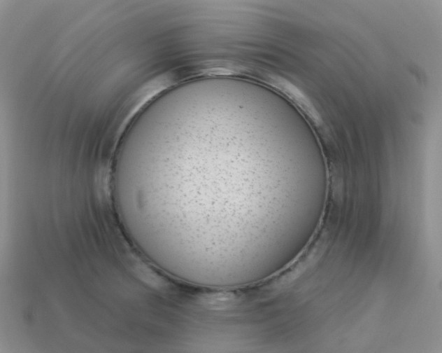 X0000113881186200910081740