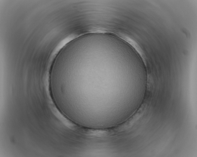 X0000113881187200910081740