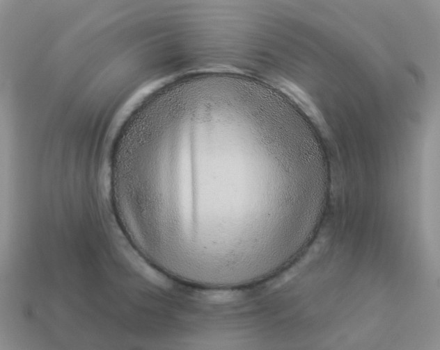 X0000113881188200910081740