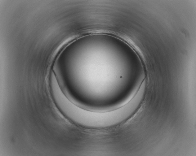 X0000113881189200910081740