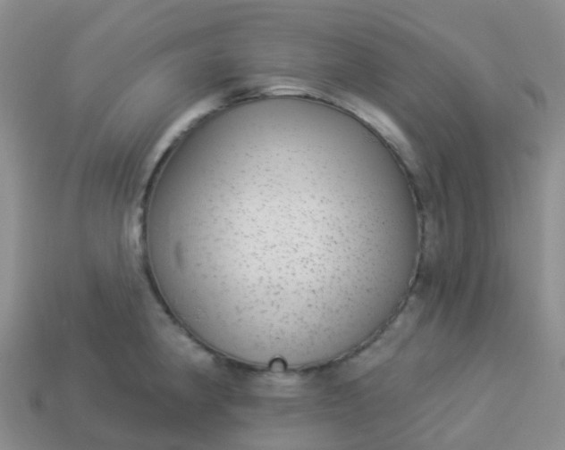 X0000113881190200910081740