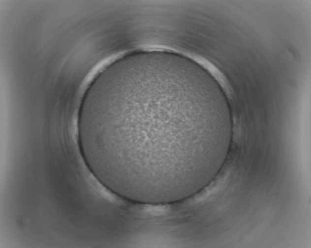 X0000113881191200910081740