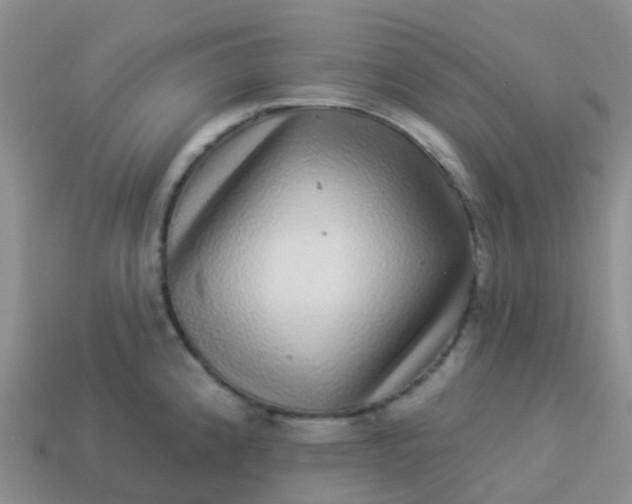 X0000113881192200910081740