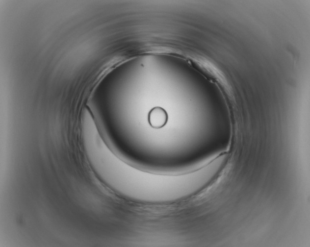 X0000113881193200910081740