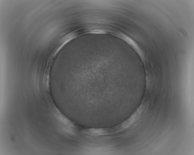 X0000113881194200910081740